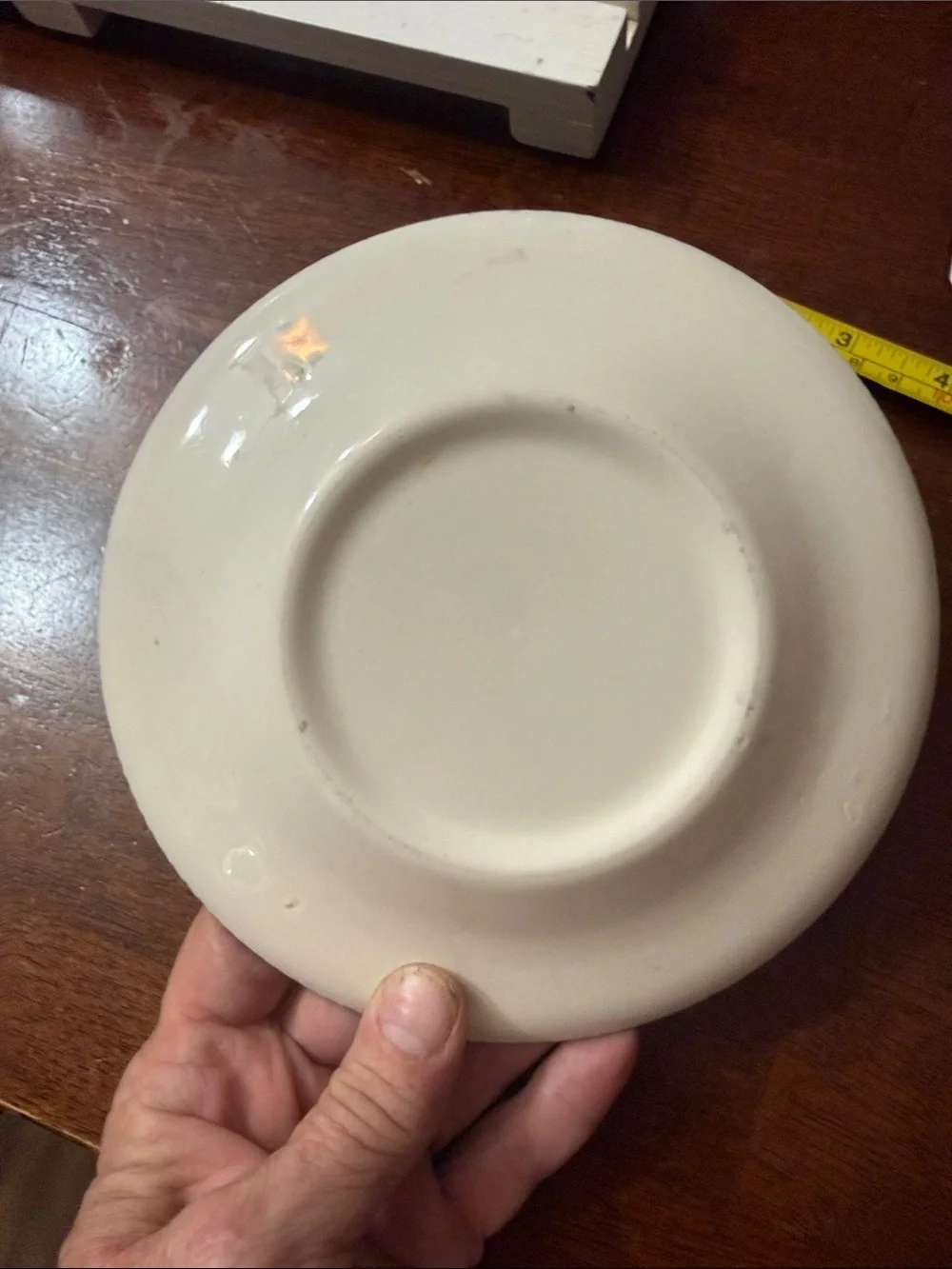 Blue and White Scenic Ceramic vintage bread and butter plate